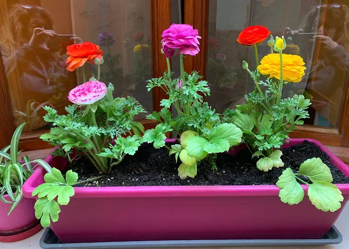 Da Ida 게스트하우스 보사