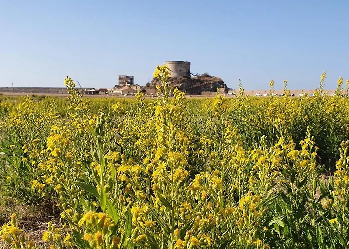 Da Ida 招待所 博萨